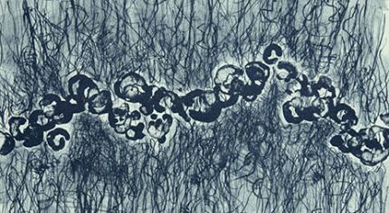 Interior Designer Picks