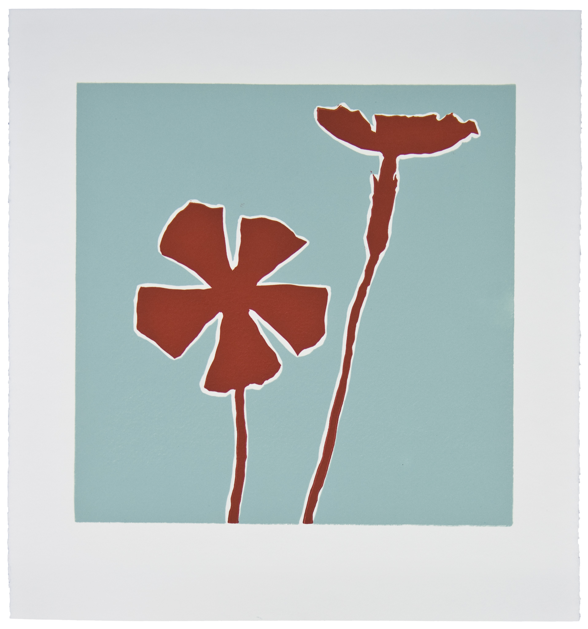 Brick Red Wildflower