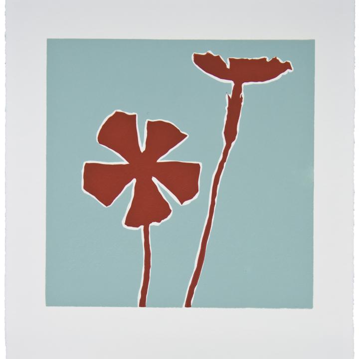 Brick Red Wildflower