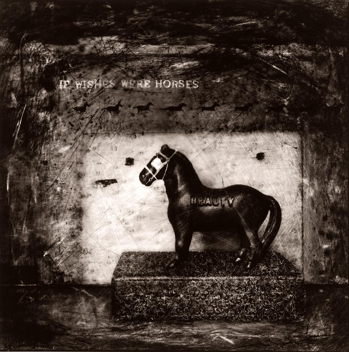 If Wishes Were Horses