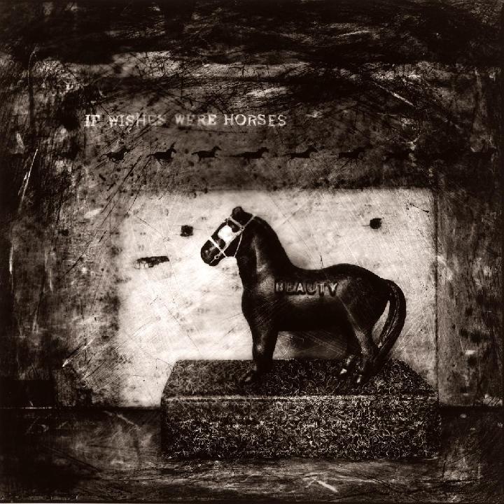 If Wishes Were Horses