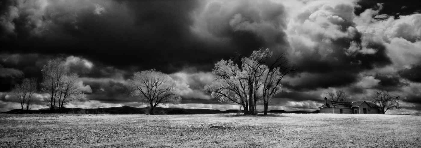House and Trees, Red Mesa, CO