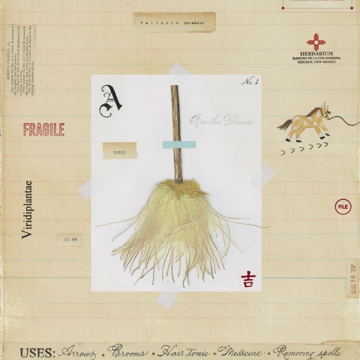 Apache Plume with Ledger 