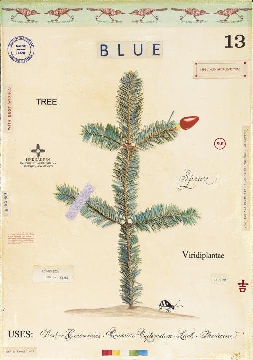 Blue Spruce with Bug 